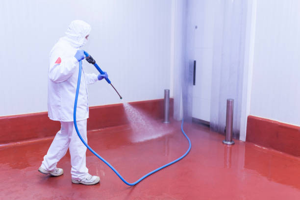 Best Pre-Holiday Cleaning  in Carrollton, TX